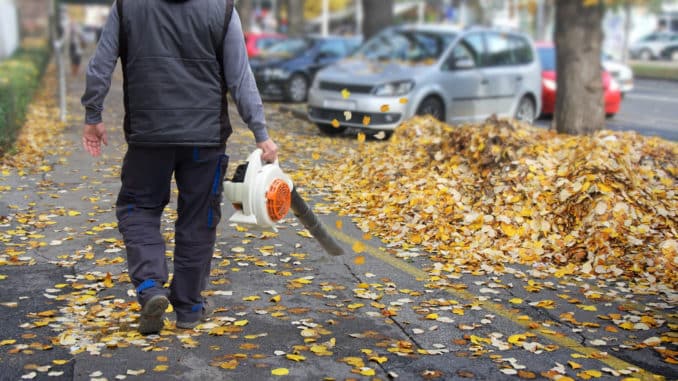 Arbeiter mit Laubbläser auf der Straße